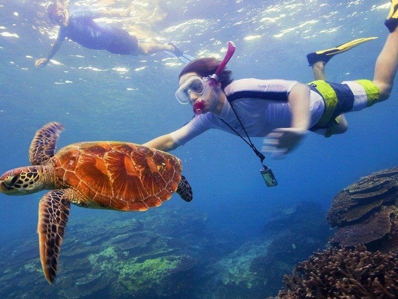 Snorkelling at North Bay thumbnail 4