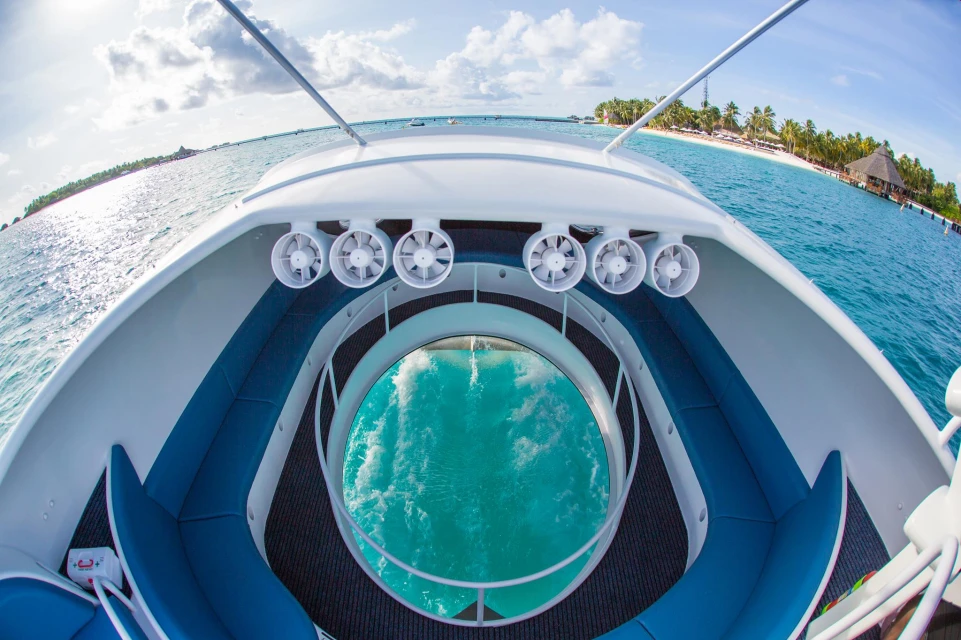 Dolphin Glass-Bottom Boat Experience at North Bay thumbnail 3