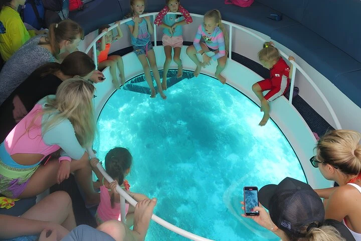 Dolphin Glass-Bottom Boat Experience at North Bay