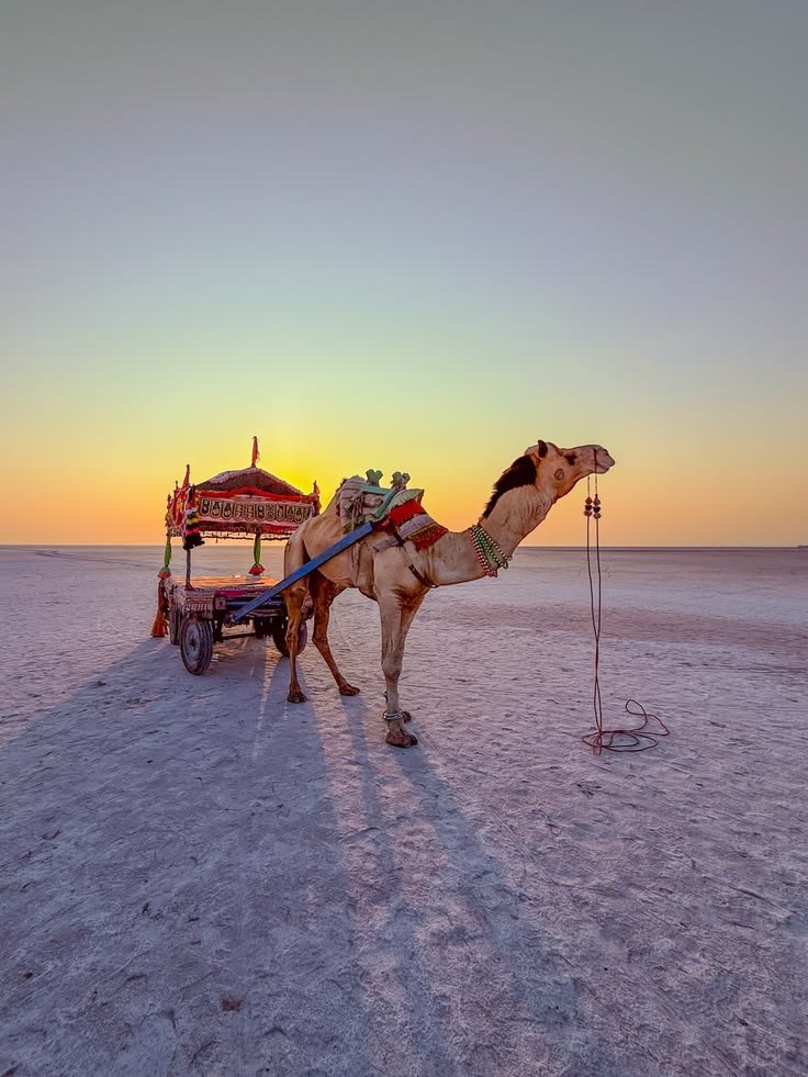 Great Rann Utsav
