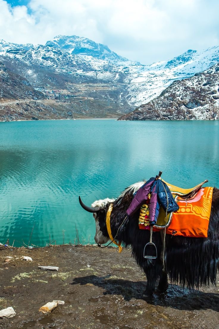 The Ultimate Gangtok Himalayan Escape