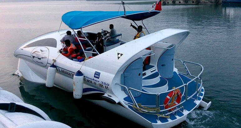 Dolphin Glass-Bottom Boat Experience at North Bay thumbnail 4