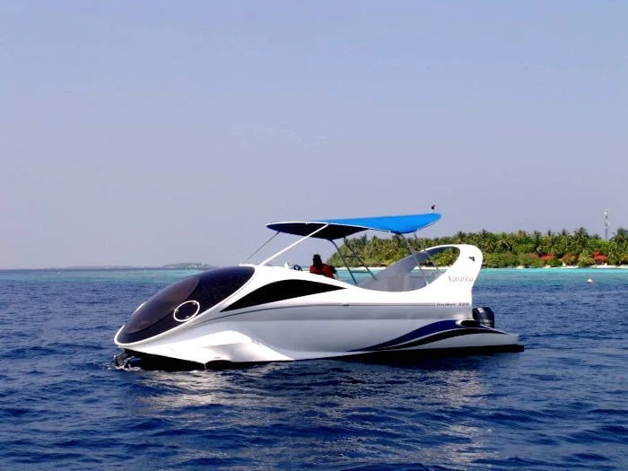 Dolphin Glass-Bottom Boat Experience at North Bay thumbnail 2