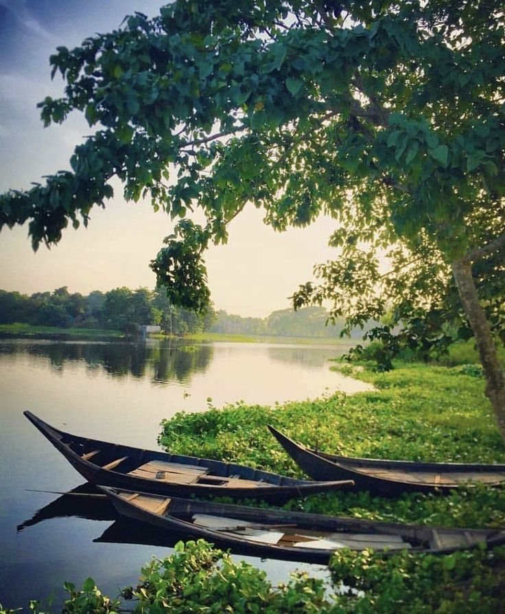 Meghalaya Nature Trails & Guwahati