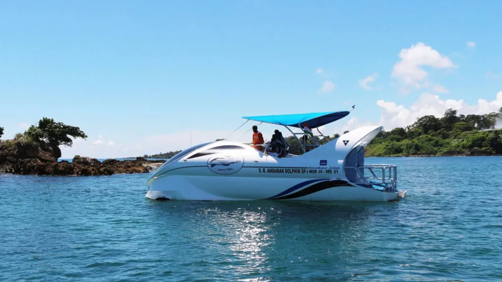 Dolphin Glass-Bottom Boat Experience at North Bay thumbnail 5
