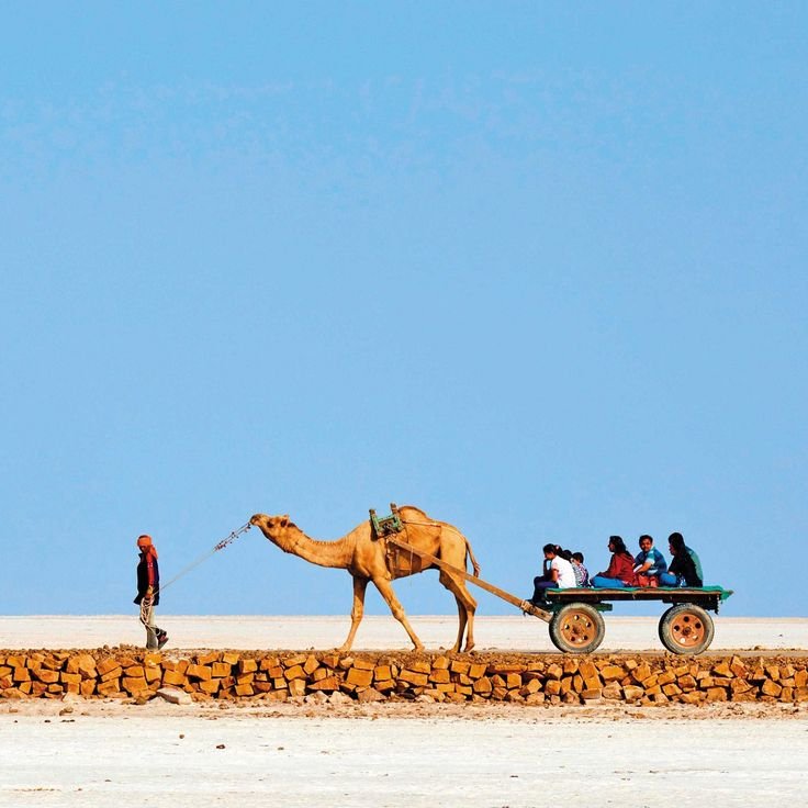 Kutch & Rann Utsav – White Sands & Cultural Wonders