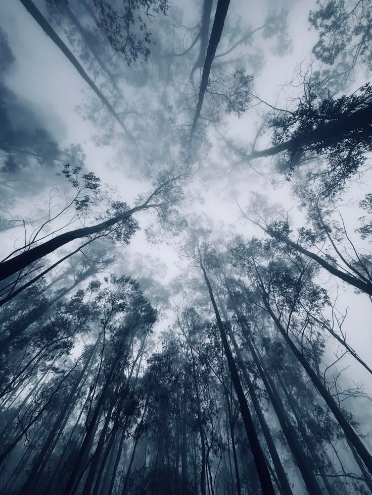 Tamil Nadu Hill Station Escape