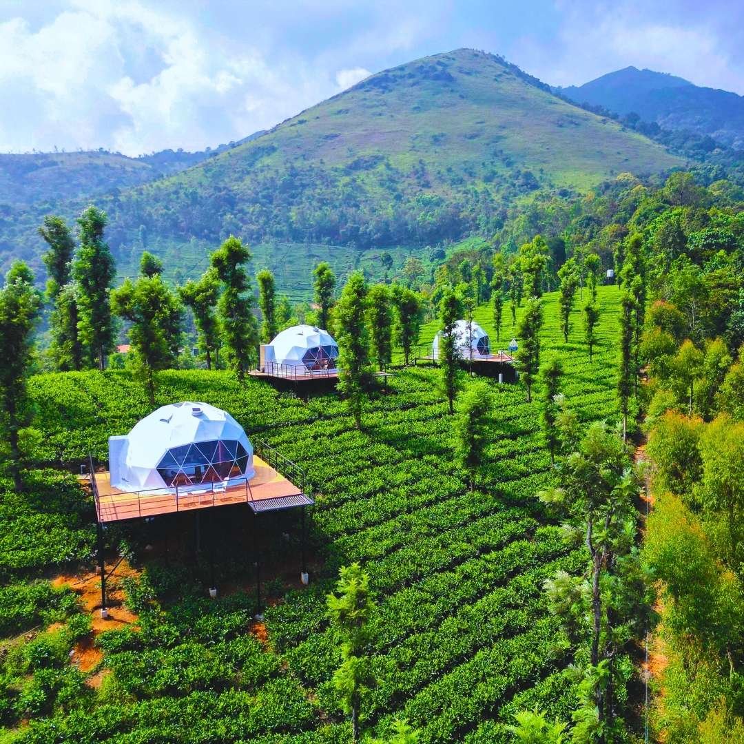 Wayanad Nature Escape