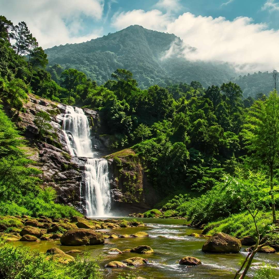 Kerala Backwaters & Hills