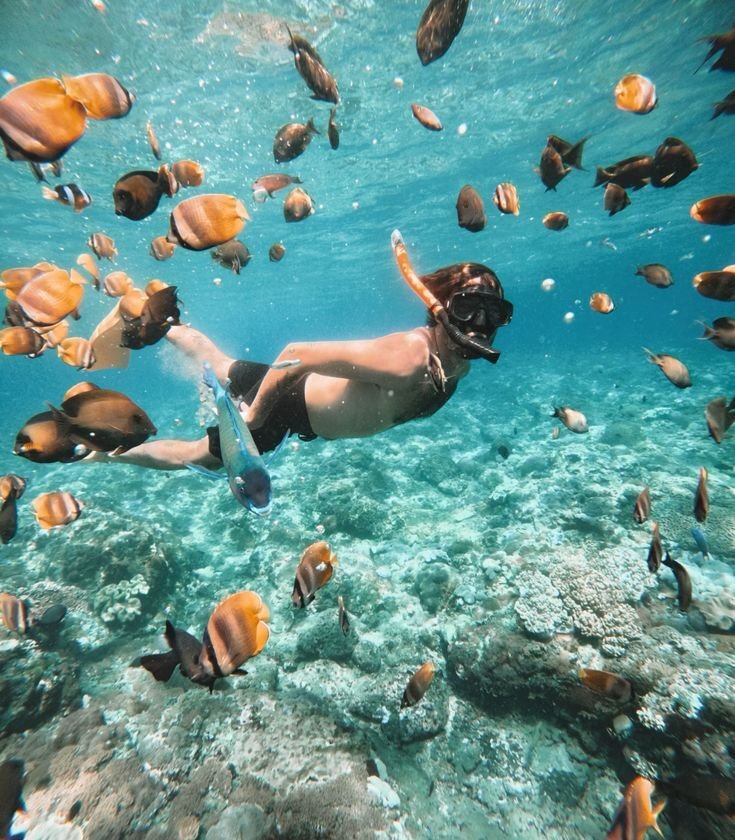 Snorkelling at North Bay thumbnail 3
