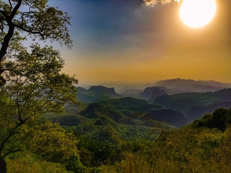 Satpura Safari Honeymoon Journey