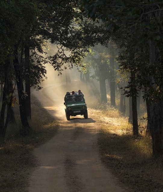 Pench Pachmarhi Bhopal Group Getaway