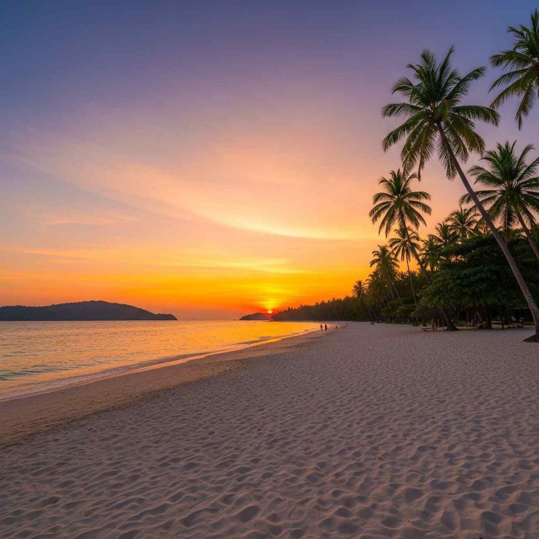 Splendid Andaman