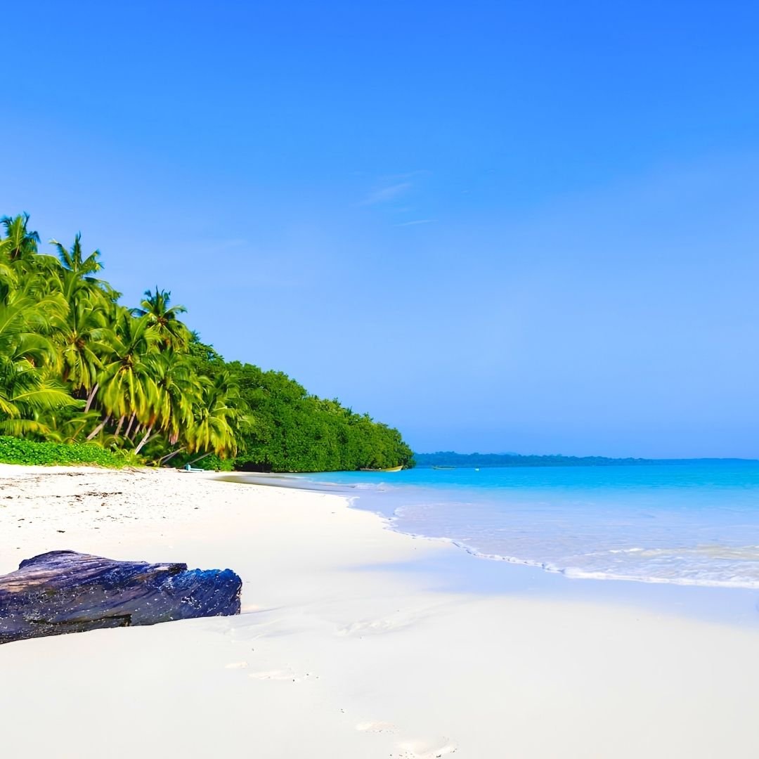 Andaman Delight
