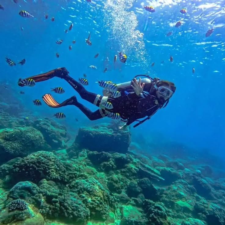 Boat Scuba Diving at Havelock Island (Swaraj Dweep)