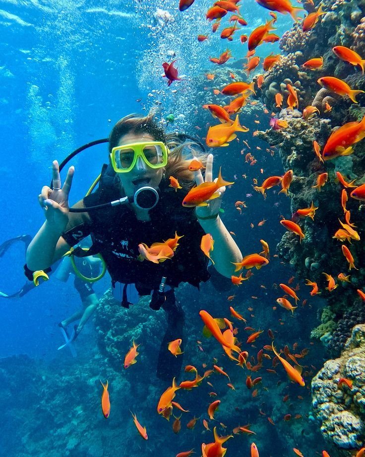 Scuba Diving