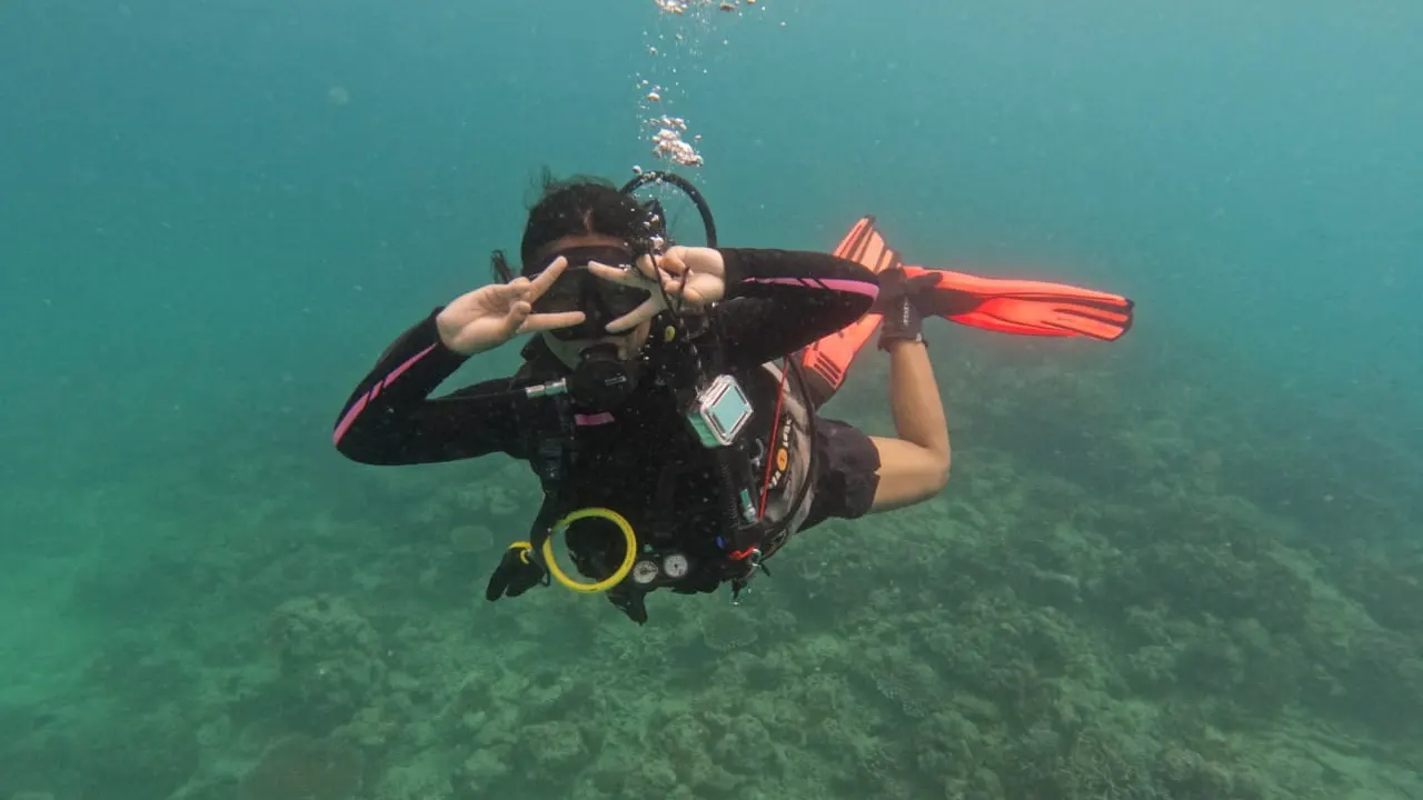 Boat Scuba Diving at Havelock Island (Swaraj Dweep) thumbnail 5