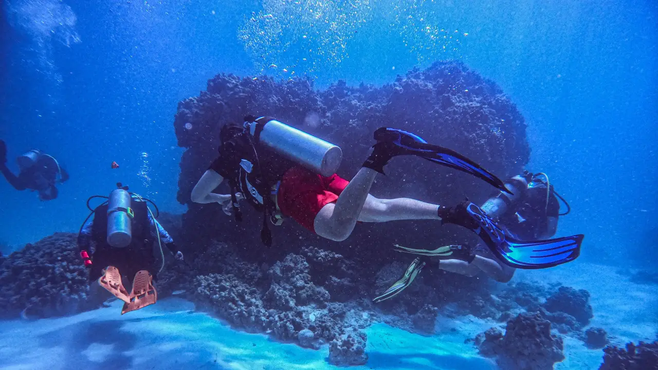 Shore Diving at Havelock Island (Swaraj Dweep) thumbnail 3