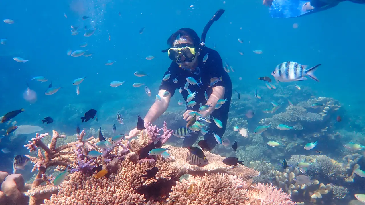 Shore Diving at Havelock Island (Swaraj Dweep) thumbnail 6