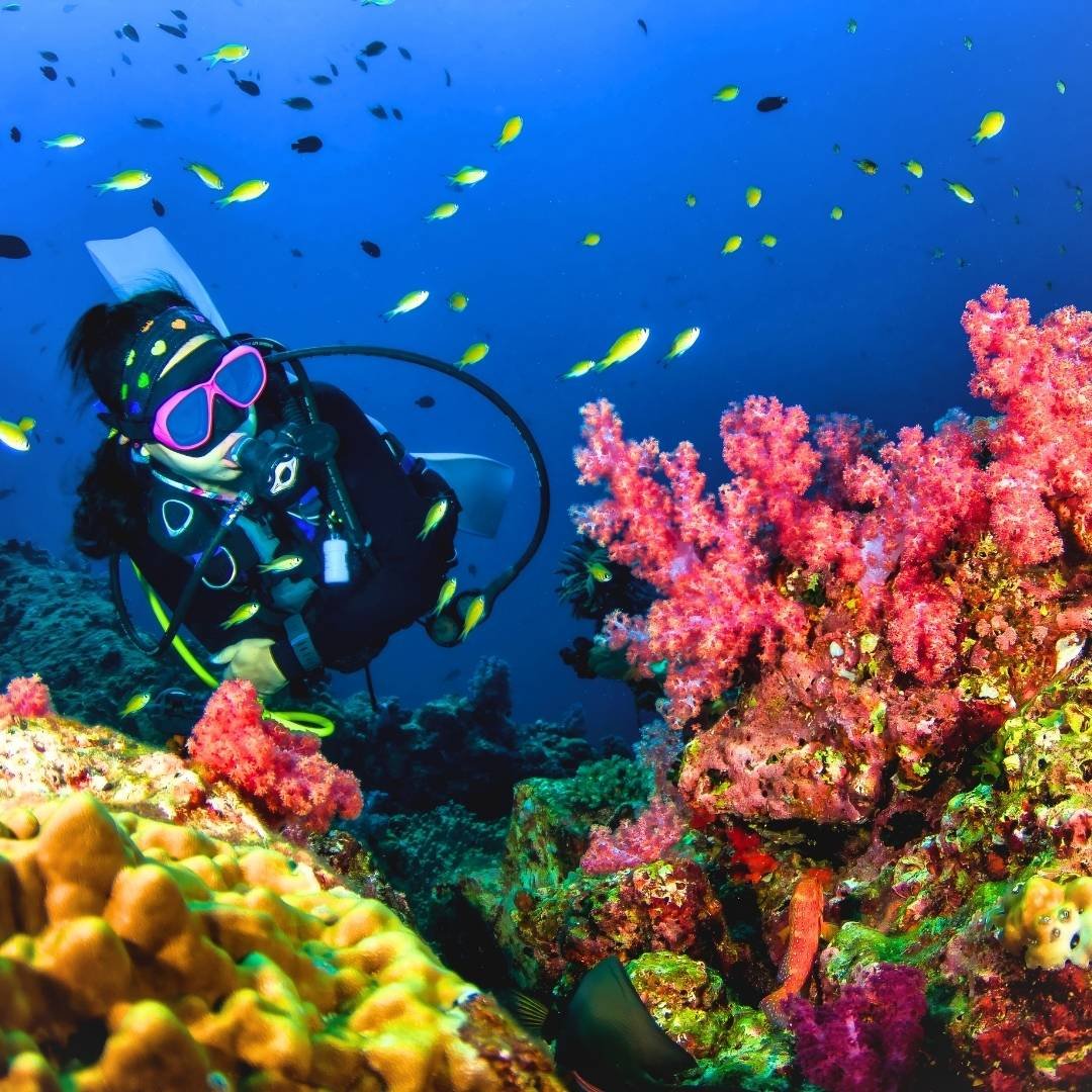 Awesome Andaman