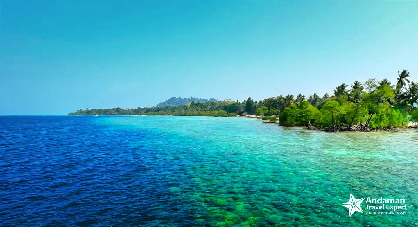 Andaman coral reef