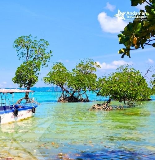 Neil Island